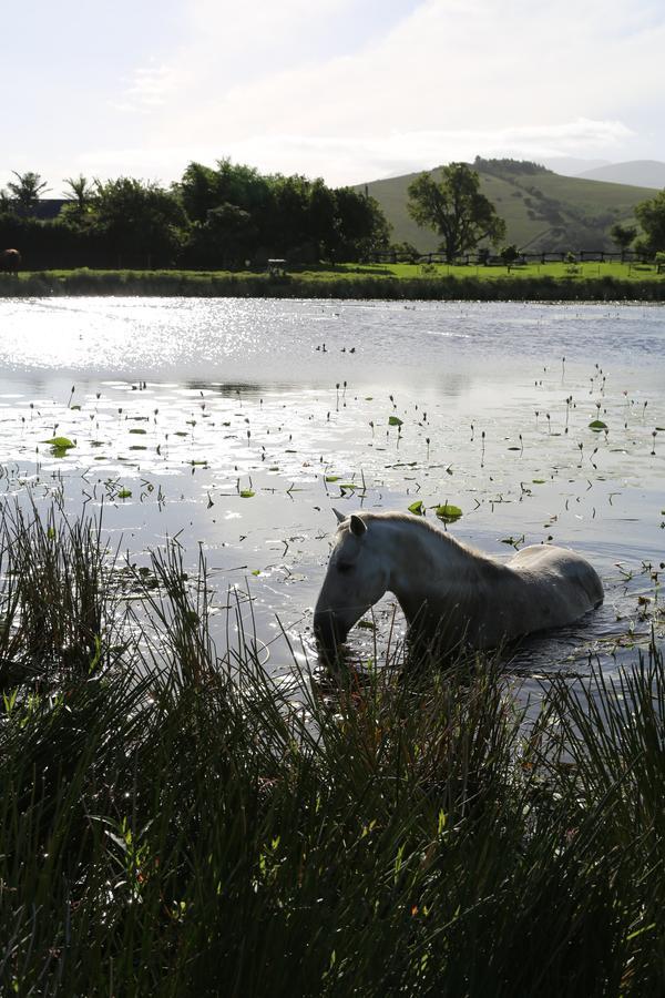 Hakuna Matata Game Farm Great Brak River Екстер'єр фото